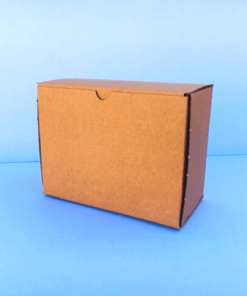 Boite postale carton d'emballage marron 20x10x15 cm