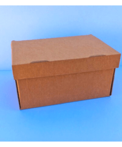 Boite postale carton d'emballage marron 30x21x15 cm