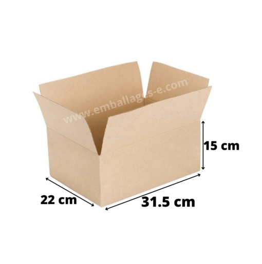 caisse carton 31x22x15