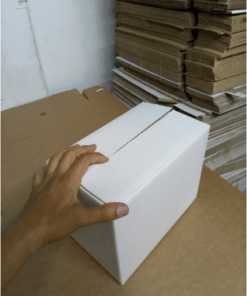 carton caisse Blanc 25x15x19 cm
