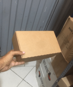 carton brun 25x25x10